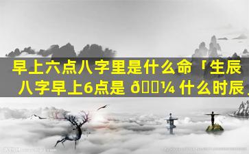 早上六点八字里是什么命「生辰八字早上6点是 🌼 什么时辰」